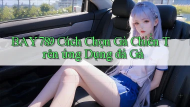 bay789  cách chọn gà chiến trên ứng dụng đá gà