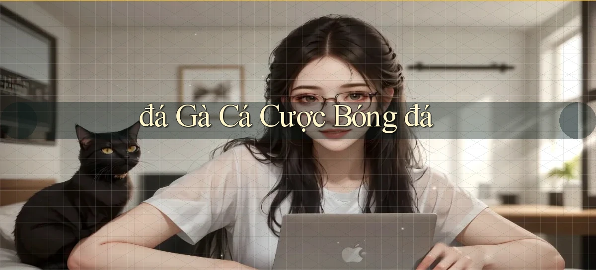 đá gà Cá cược bóng đá