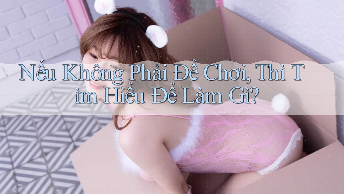 Nếu không phải để chơi, thì tìm hiểu để làm gì? Nếu không phải để chơi, thì tìm hiểu để làm gì?