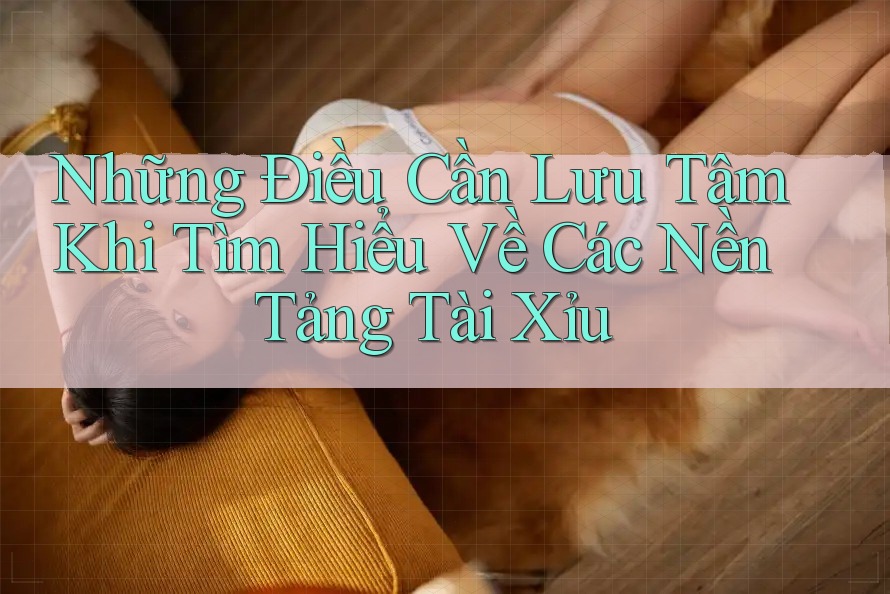 Những Điều Cần Lưu Tâm Khi Tìm Hiểu Về Các Nền Tảng Tài Xỉu Những Điều Cần Lưu Tâm Khi Tìm Hiểu Về Các Nền Tảng Tài Xỉu