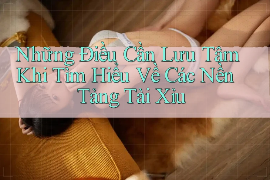 Những Điều Cần Lưu Tâm Khi Tìm Hiểu Về Các Nền Tảng Tài Xỉu Những Điều Cần Lưu Tâm Khi Tìm Hiểu Về Các Nền Tảng Tài Xỉu