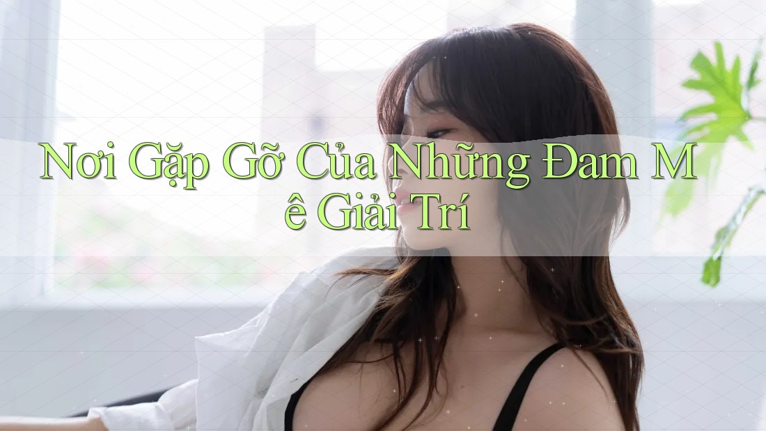 Nơi Gặp Gỡ Của Những Đam Mê Giải Trí Nơi Gặp Gỡ Của Những Đam Mê Giải Trí