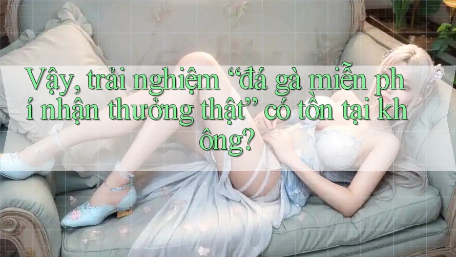 Vậy, trải nghiệm “đá gà miễn phí nhận thưởng thật” có tồn tại không? Vậy, trải nghiệm “đá gà miễn phí nhận thưởng thật” có tồn tại không?
